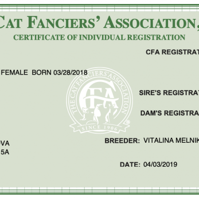 Регистрация CFA