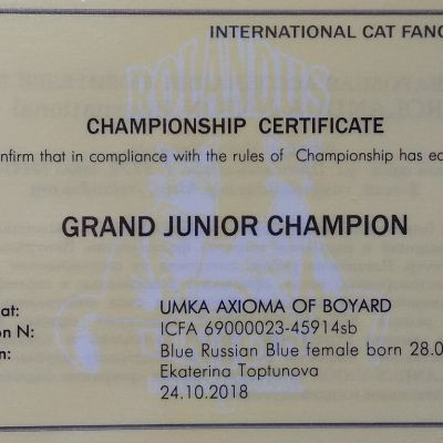 Grand Junior Champion